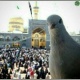 آواتار
