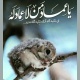 آواتار