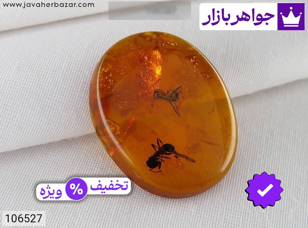 نگین سندلوس نارنجی حشره ای