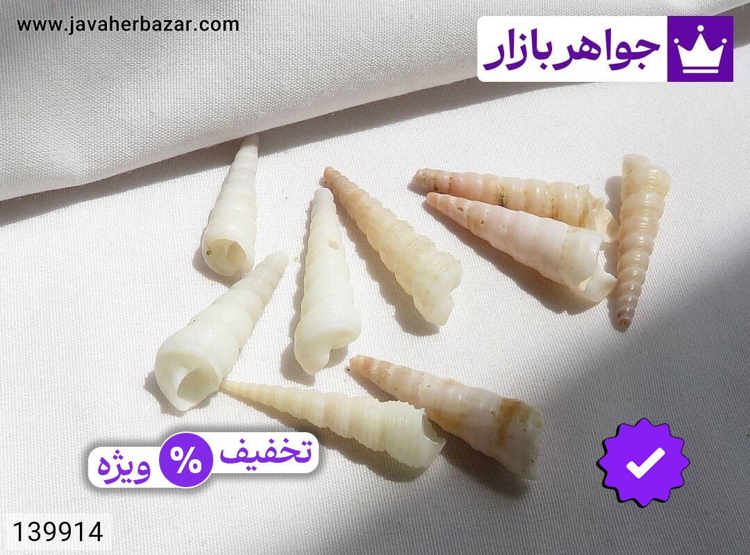 نگین صدف جذاب