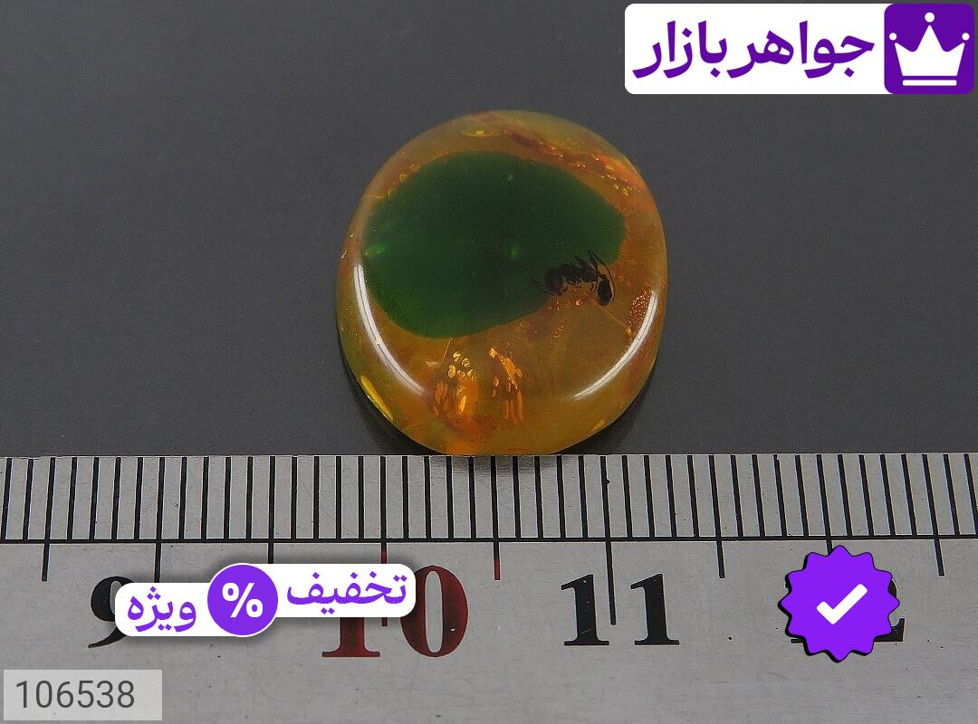 تصویر 2 سندلوس حشره ای با ضمانت اصالت جواهربازار عکس 2 سندلوس حشره ای اصل جواهربازار – مدل منتخب و موجود برای خرید