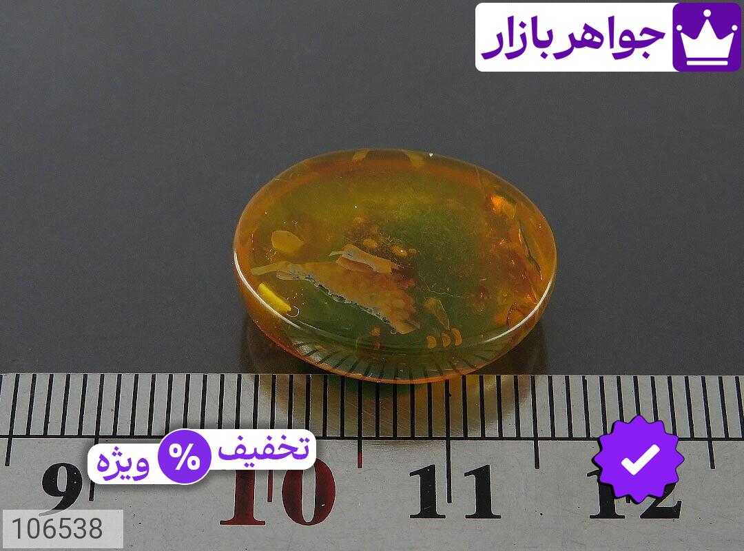 تصویر 3 سندلوس حشره ای با ضمانت اصالت جواهربازار عکس 3 سندلوس حشره ای اصل جواهربازار – مدل منتخب و موجود برای خرید